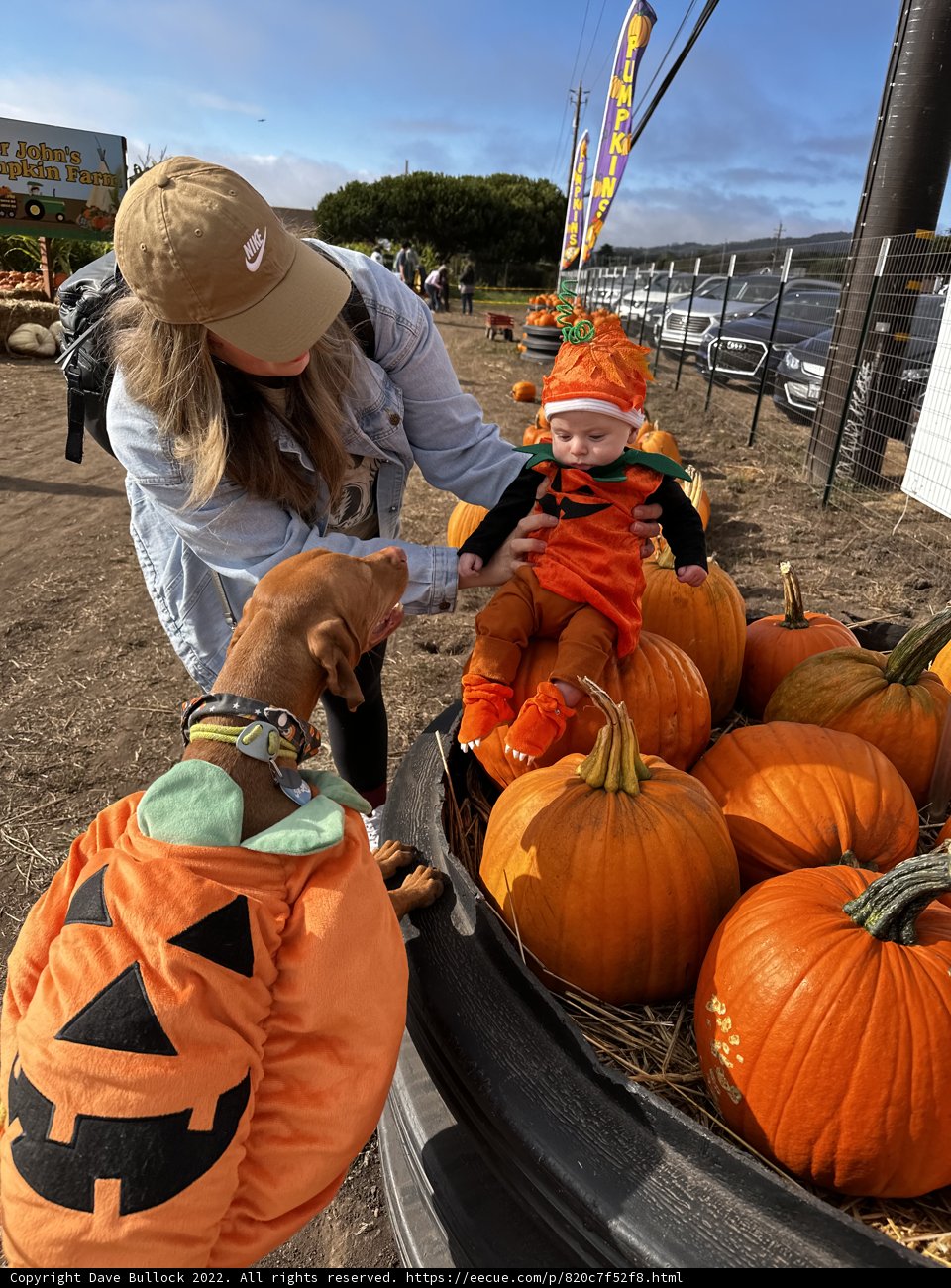 Harvest Fun at Half Moon Bay
