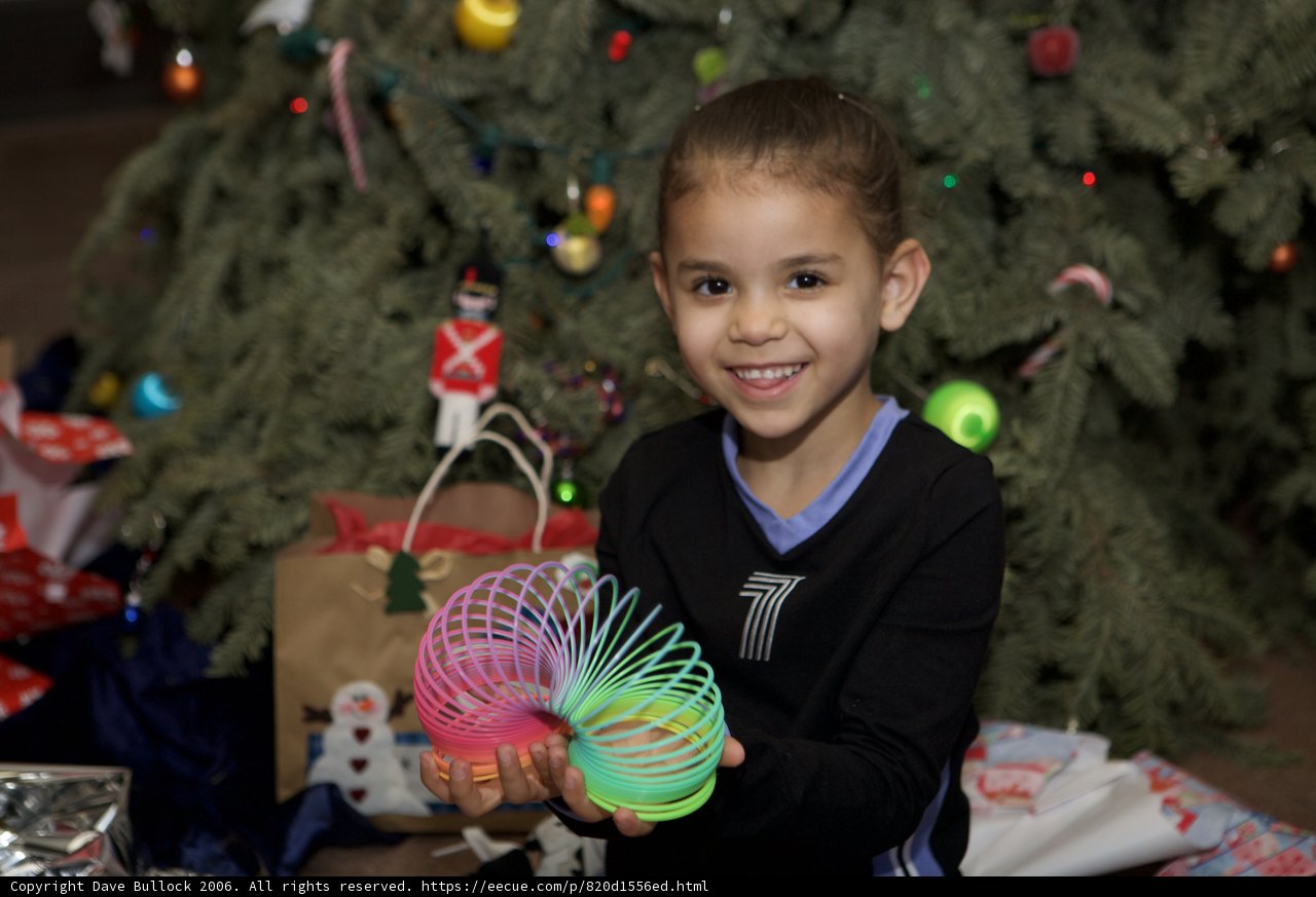 Christmas Joy
