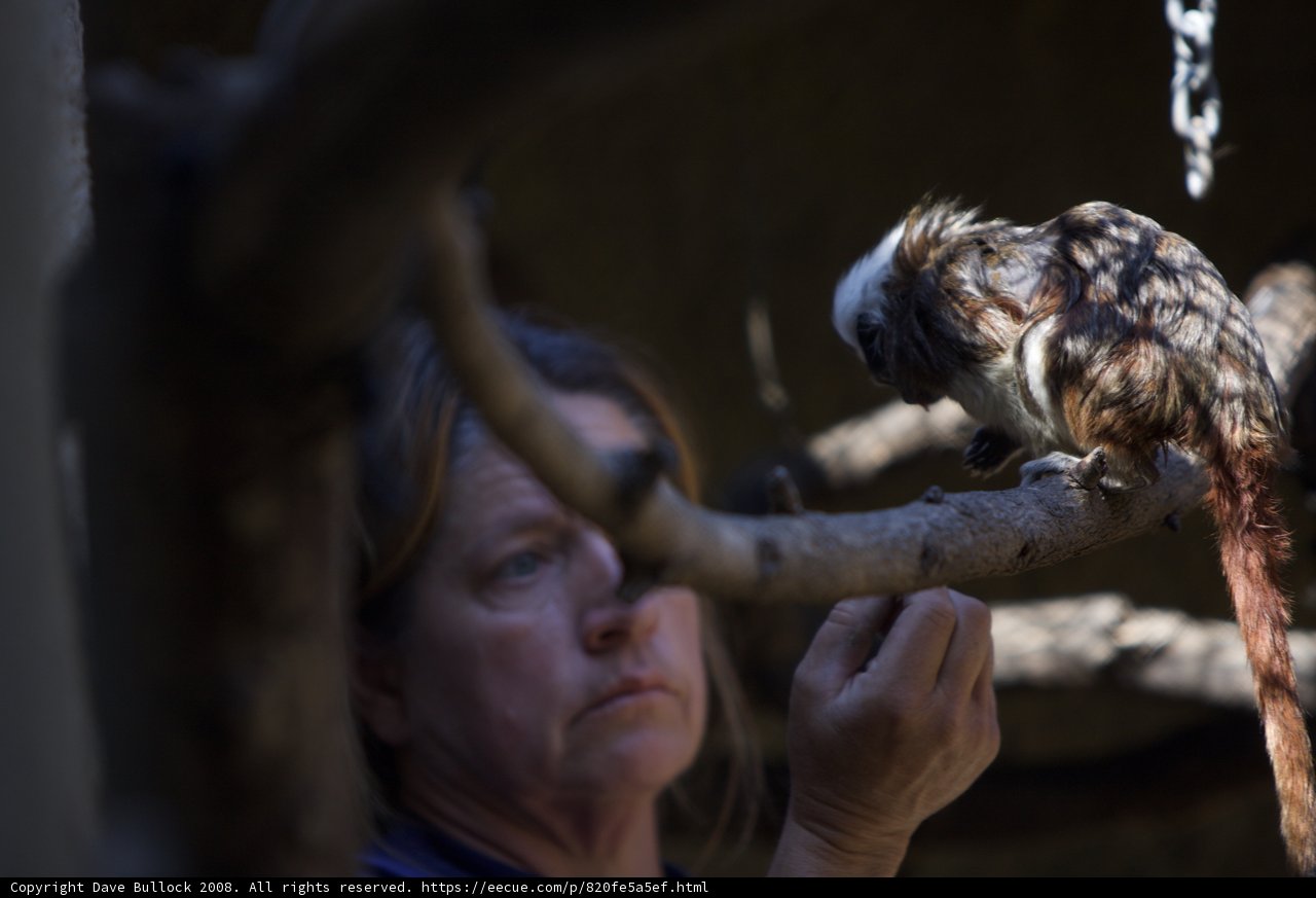 Woman feeding a bird in the zoo