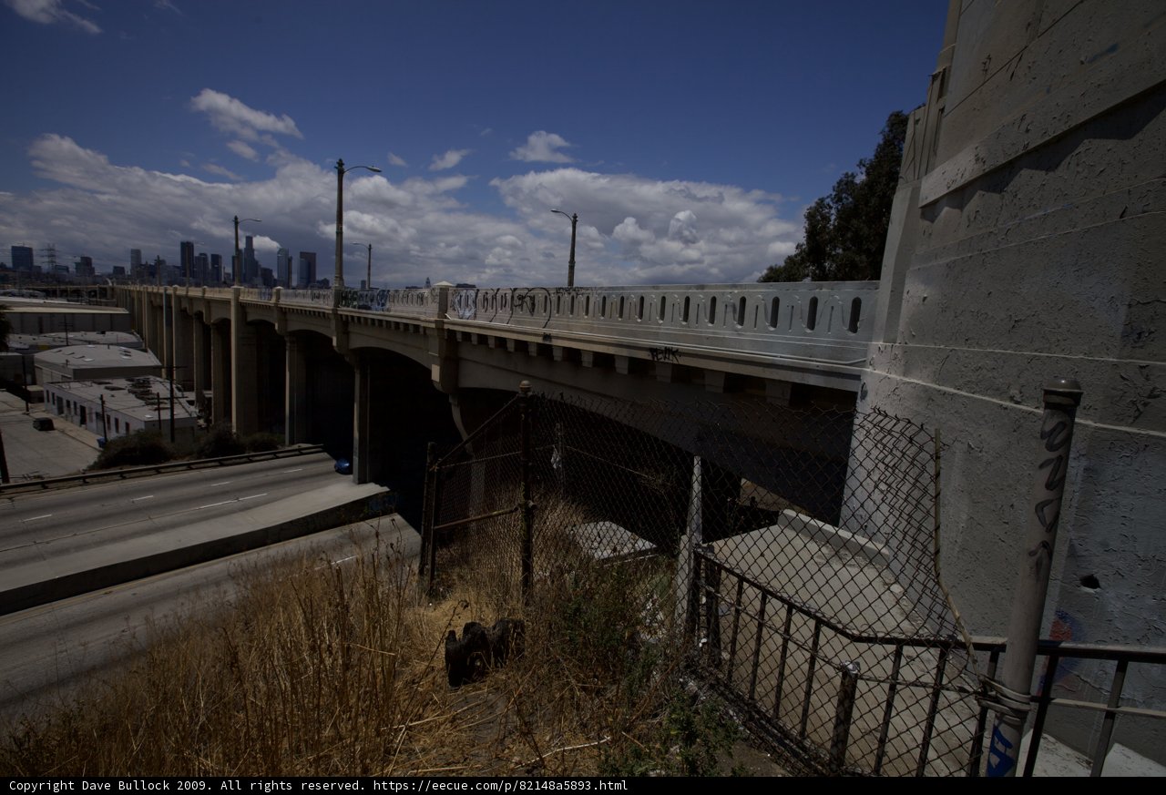 Feline Freeway Adventure