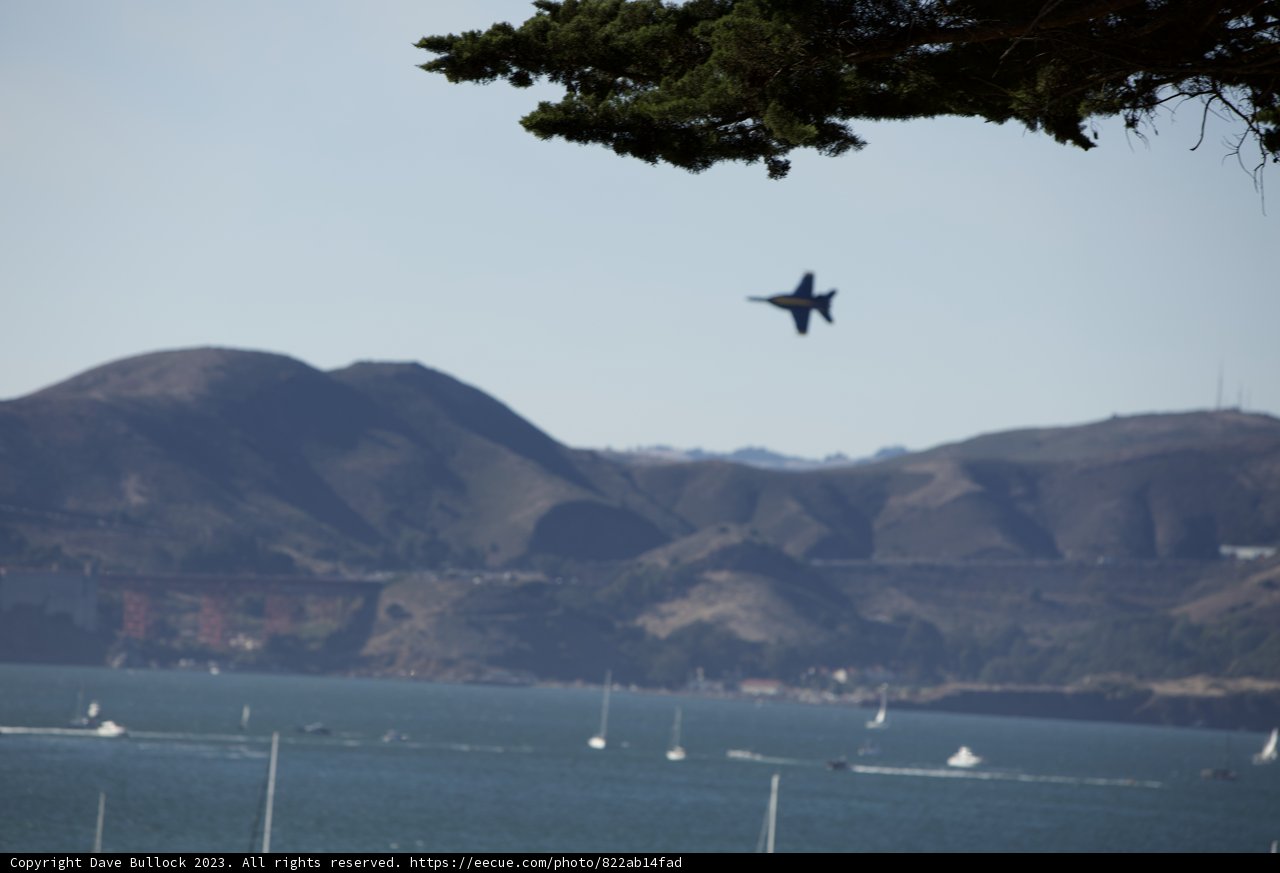 Fleet Week Marvels: Birds of Steel Over Calm Waters