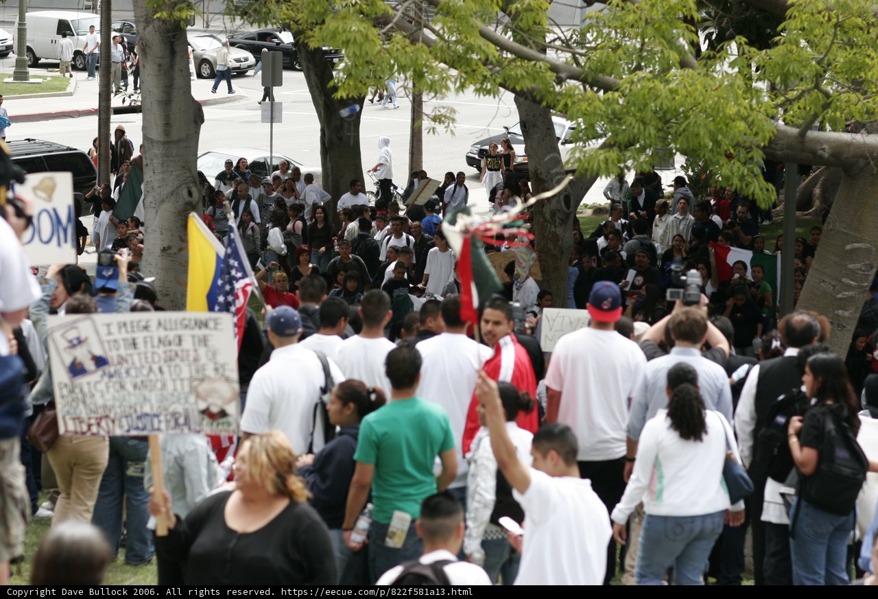 School Walkout Protesters Gather Around Tree