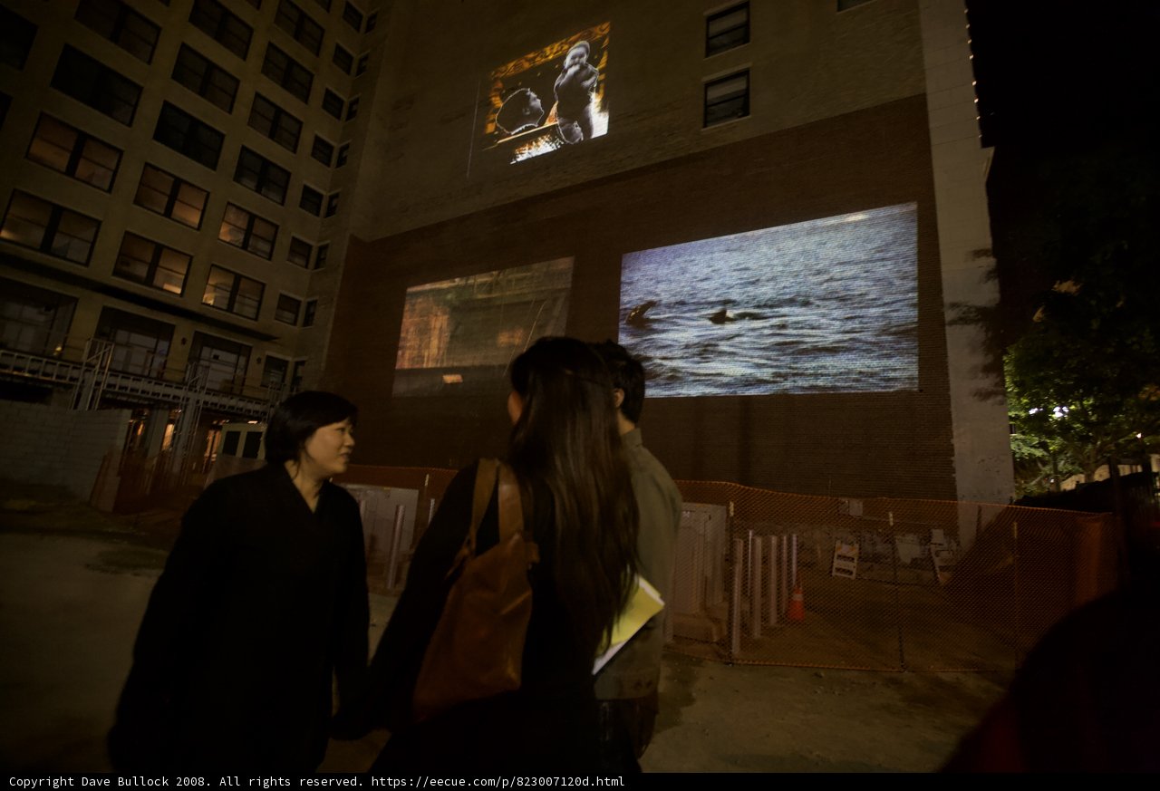 Gathering for an Outdoor Screening