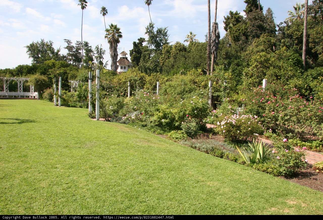 Serene Garden Oasis