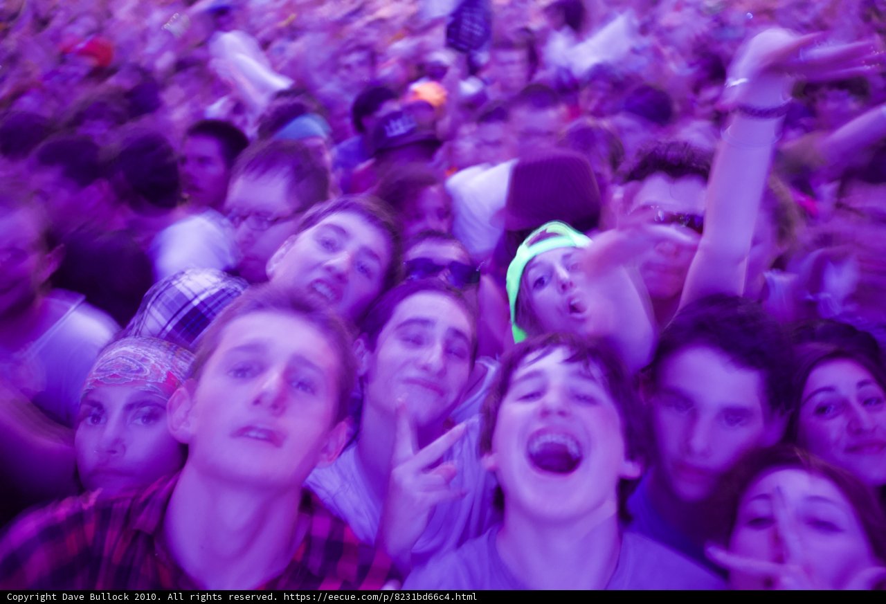 Purple Haze at Coachella