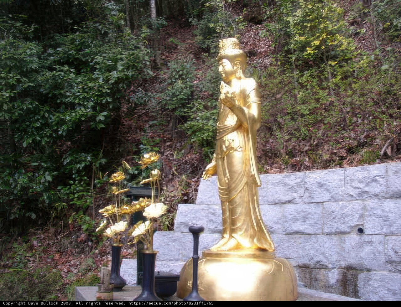 Golden Buddha Statue amidst the Kyoto Hills