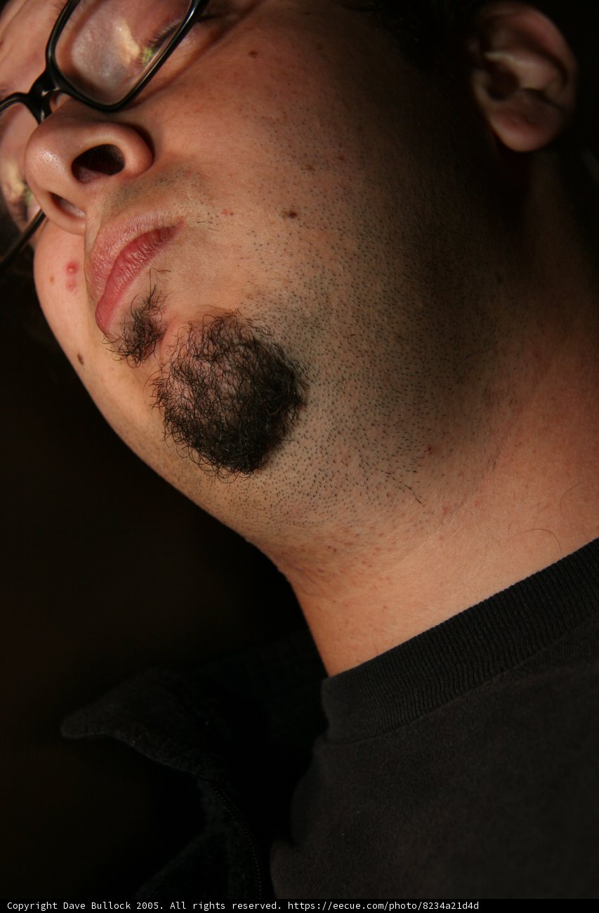 Dave B: The Bearded Gentleman