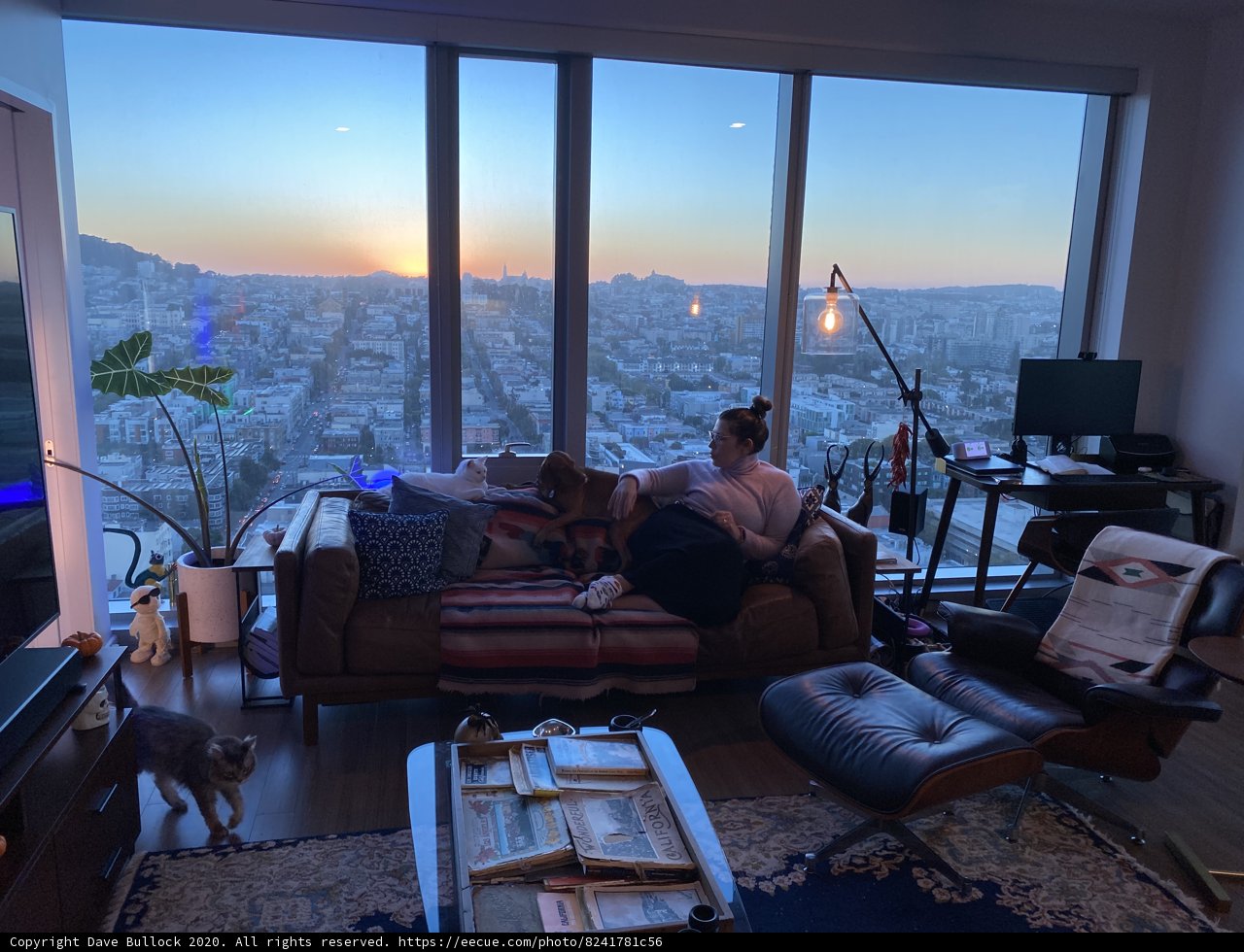 Cozy Living Room Setup