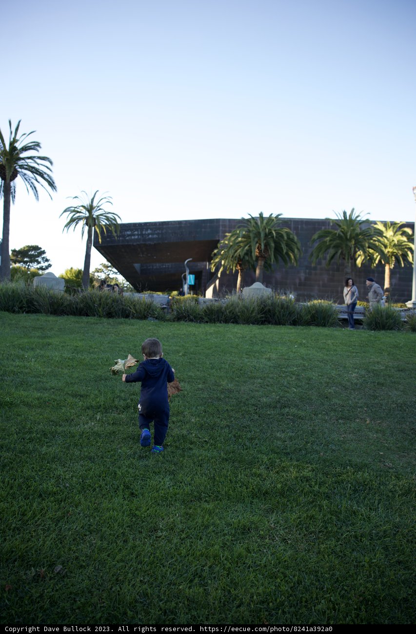 Wesley's Kite-Taming Adventure