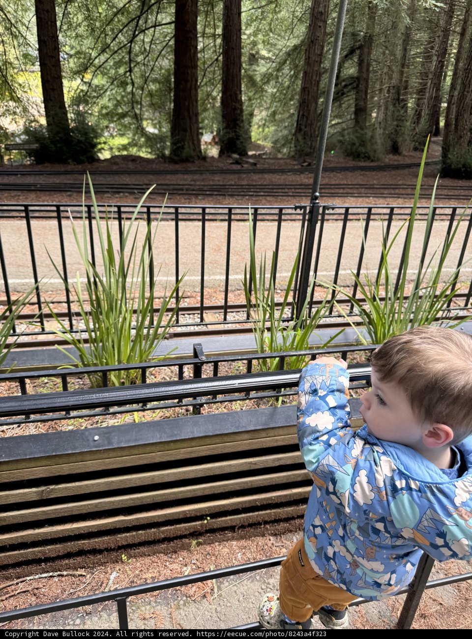 **Exploring the Great Outdoors**