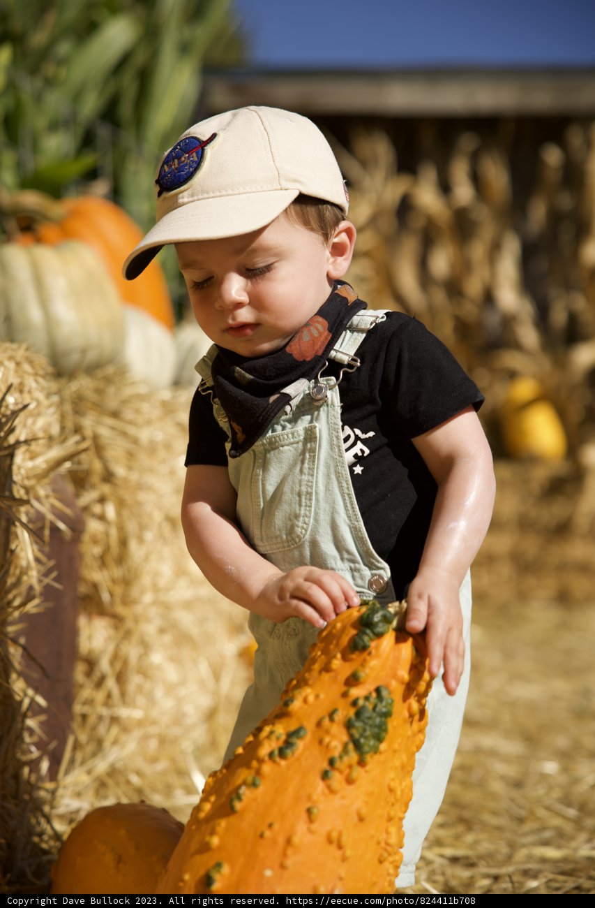 Harvest Time with Young Wesley Metzgar