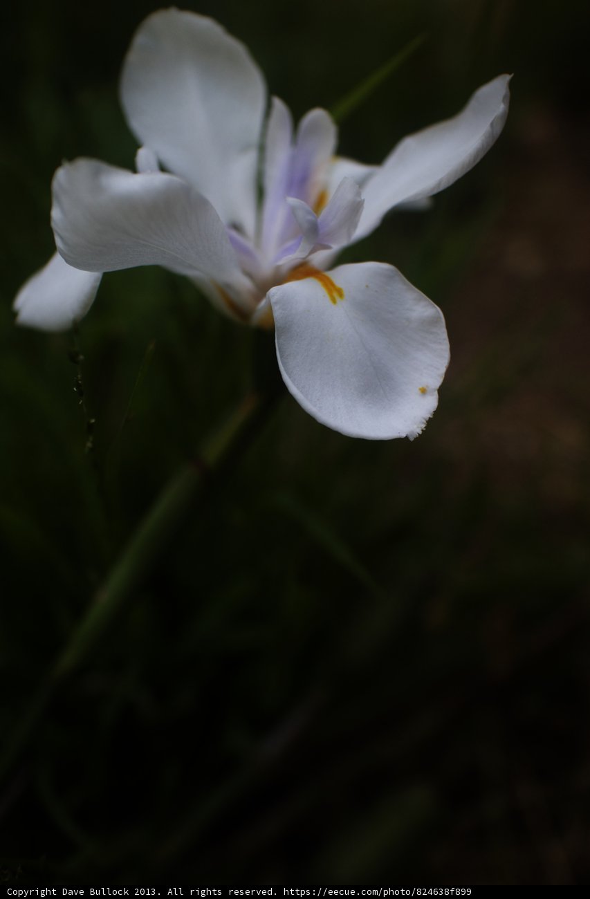 Solitude in the Dark