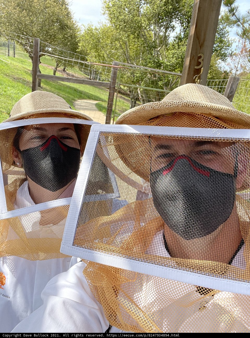 Beekeeper Couple at Work