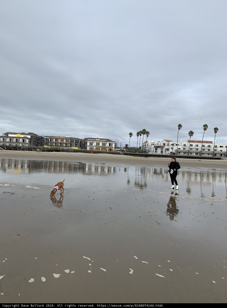 A Walk by the Water