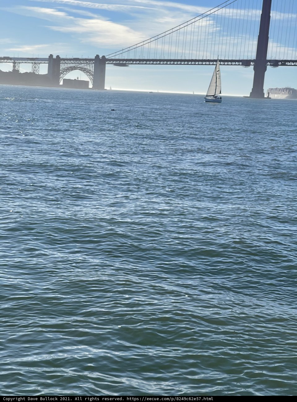 Sailing under the Golden Gate