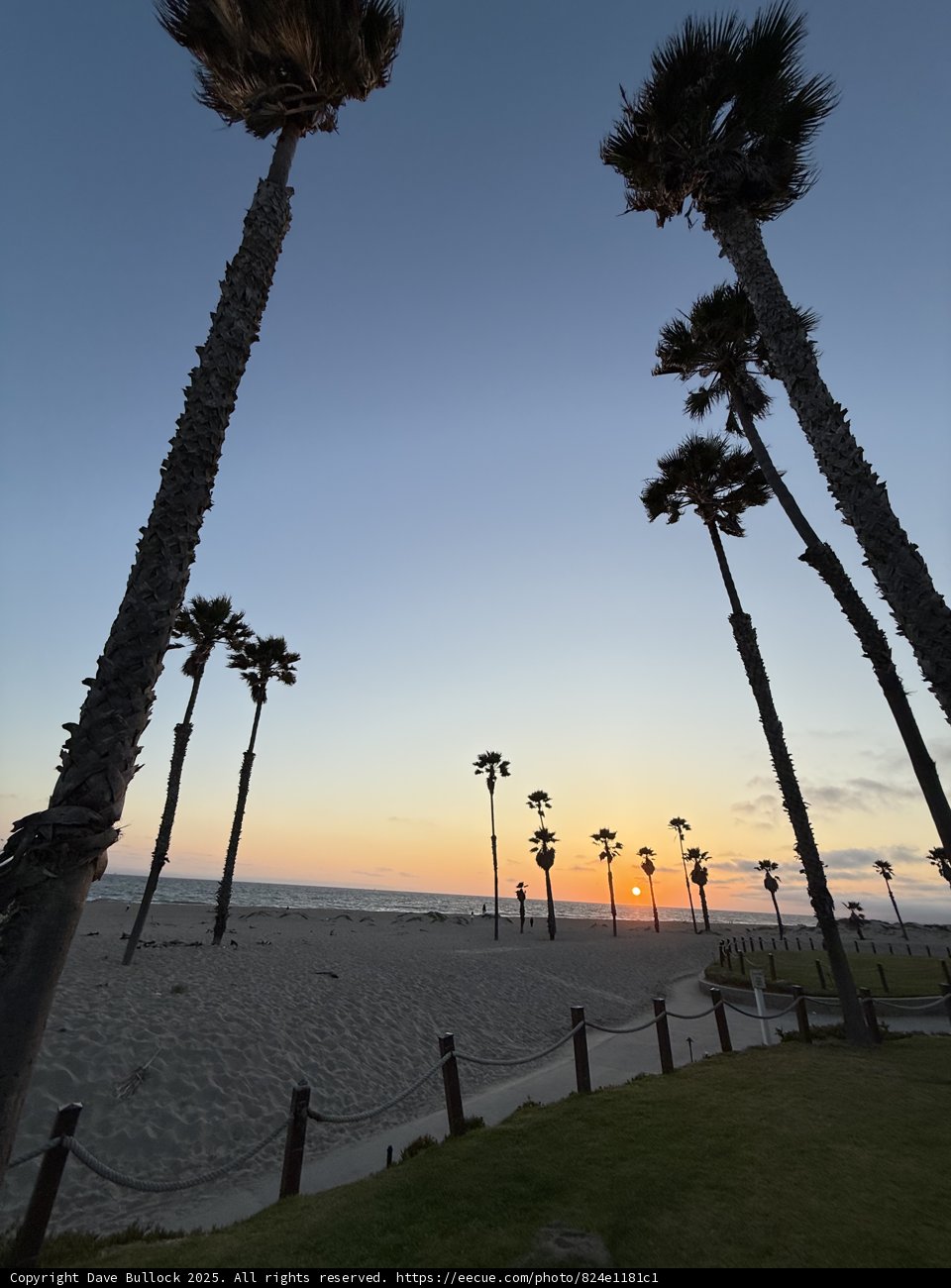 **Oxnard's Palm-Lined Horizon**