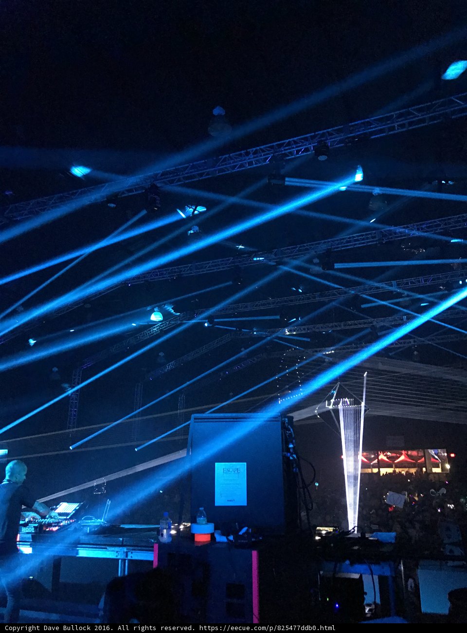 Spotlight on the Electric Nightlife