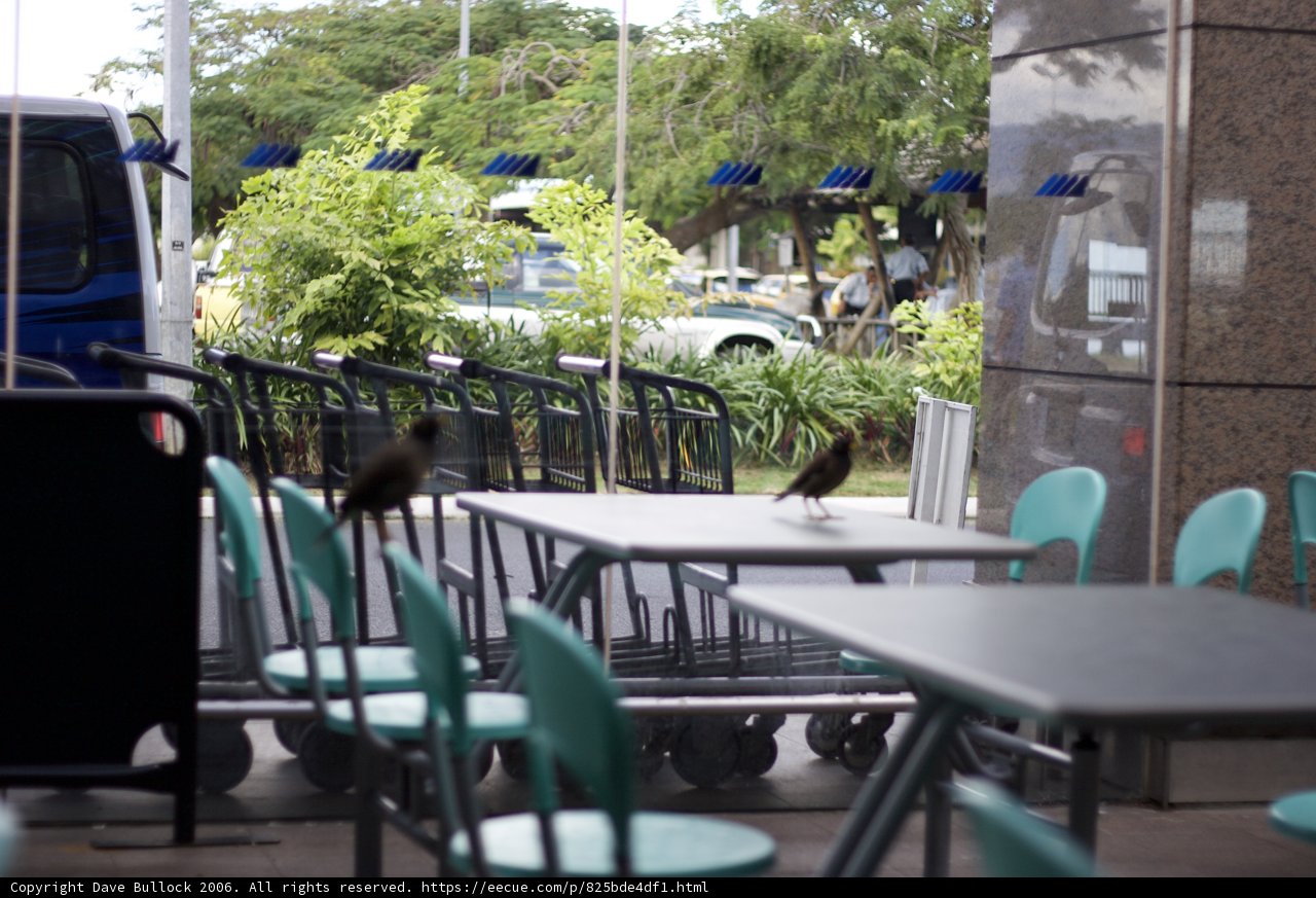 Dining Table Set in Fiji Restaurant