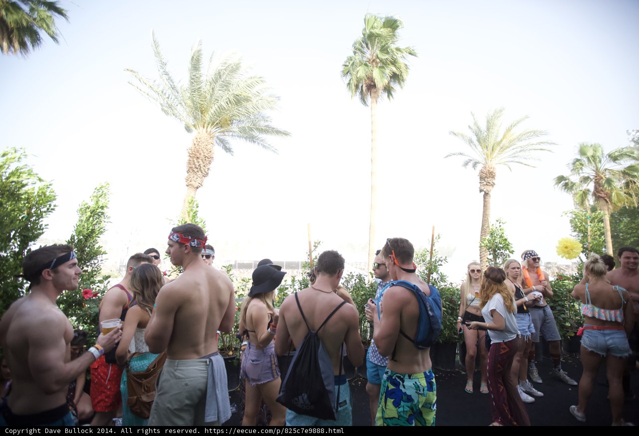 Sun-Kissed Crowd at Coachella
