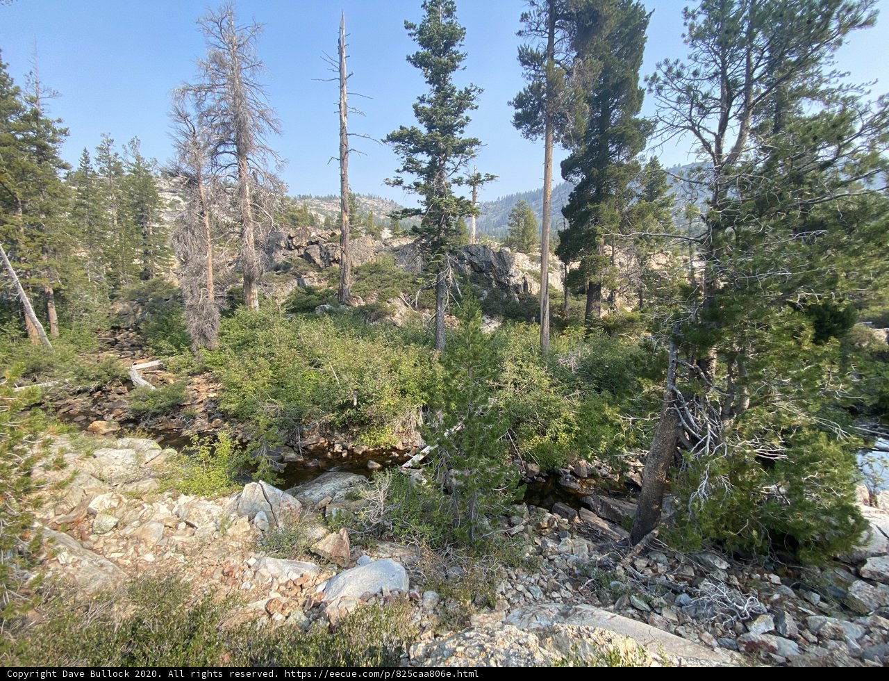Serene Stream in the Desolation Wilderness