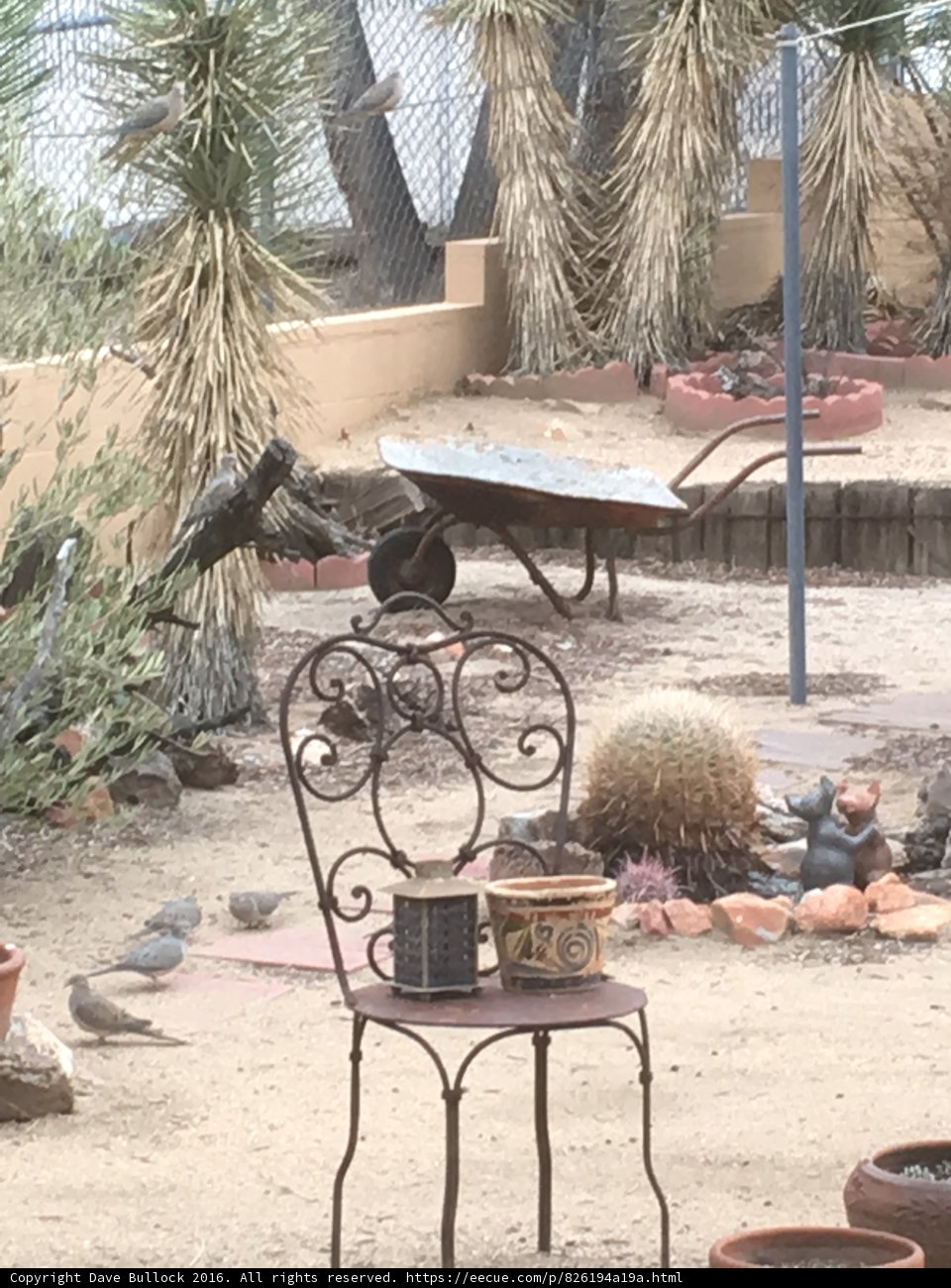 Desert Hospitality