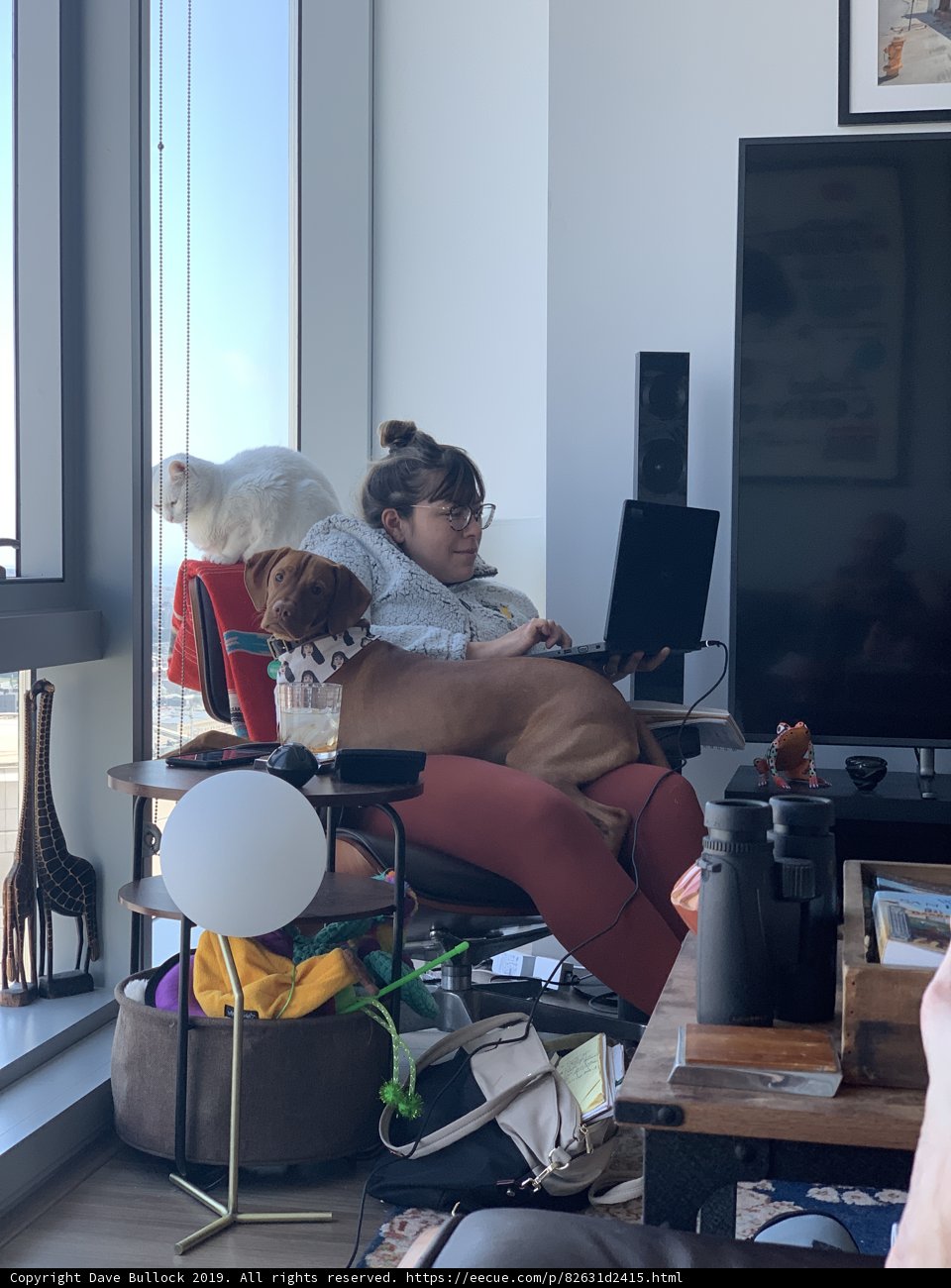 Comfort and Creativity