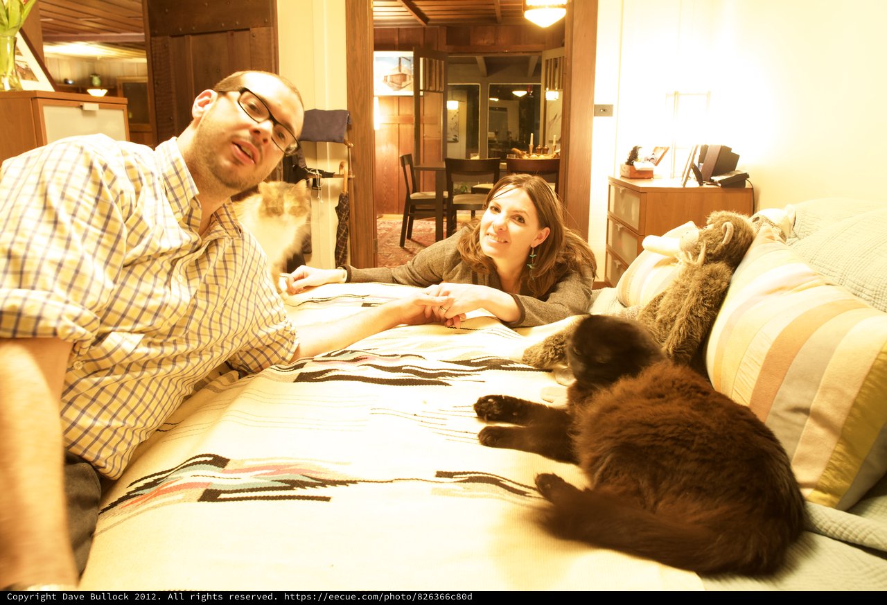 Couple Relaxing on Bed with Their Cats