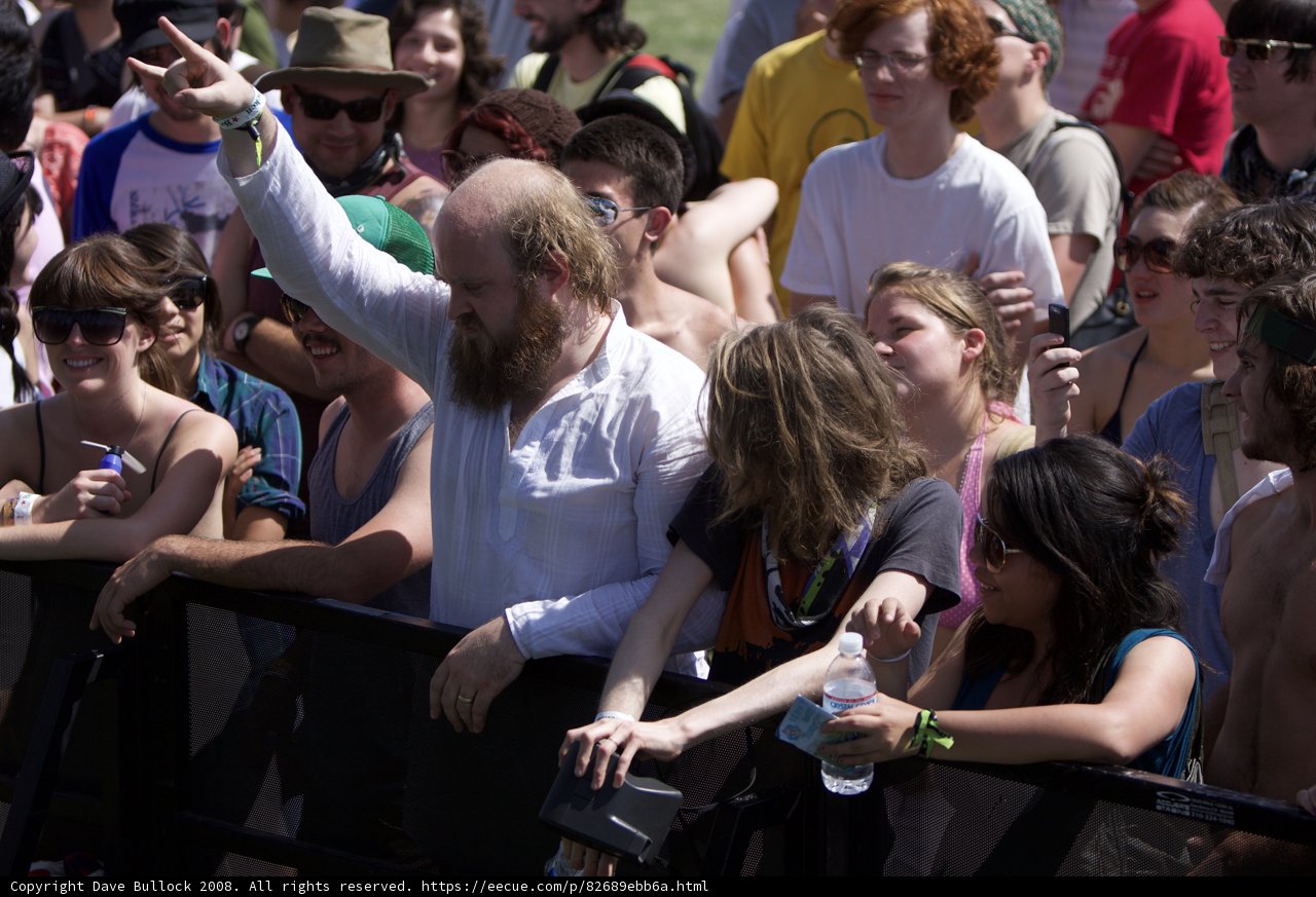 The Bearded Coachella-Goer