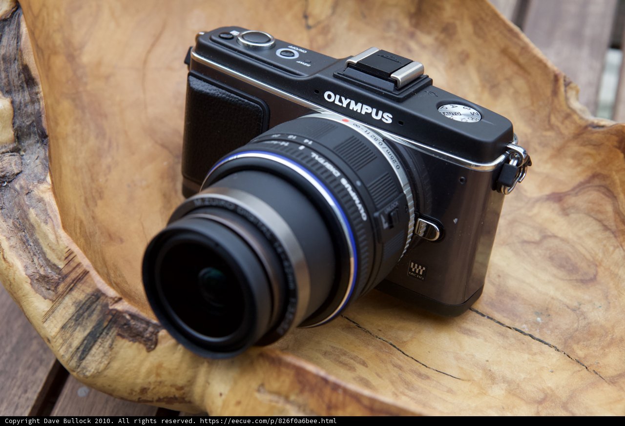 Olympus MJU Camera with Wood Strap