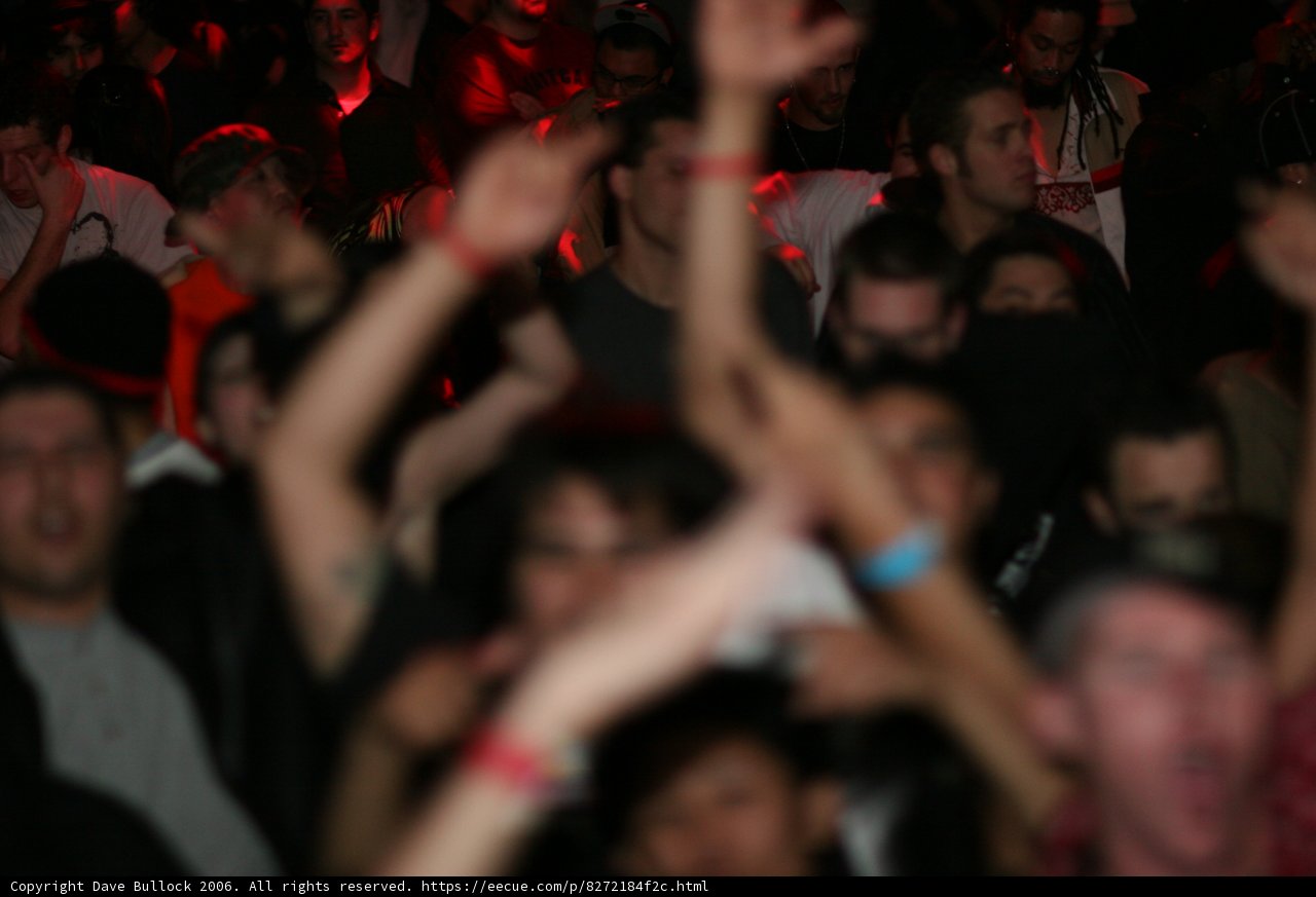 Urban Nightlife: Concert Crowd Goes Wild