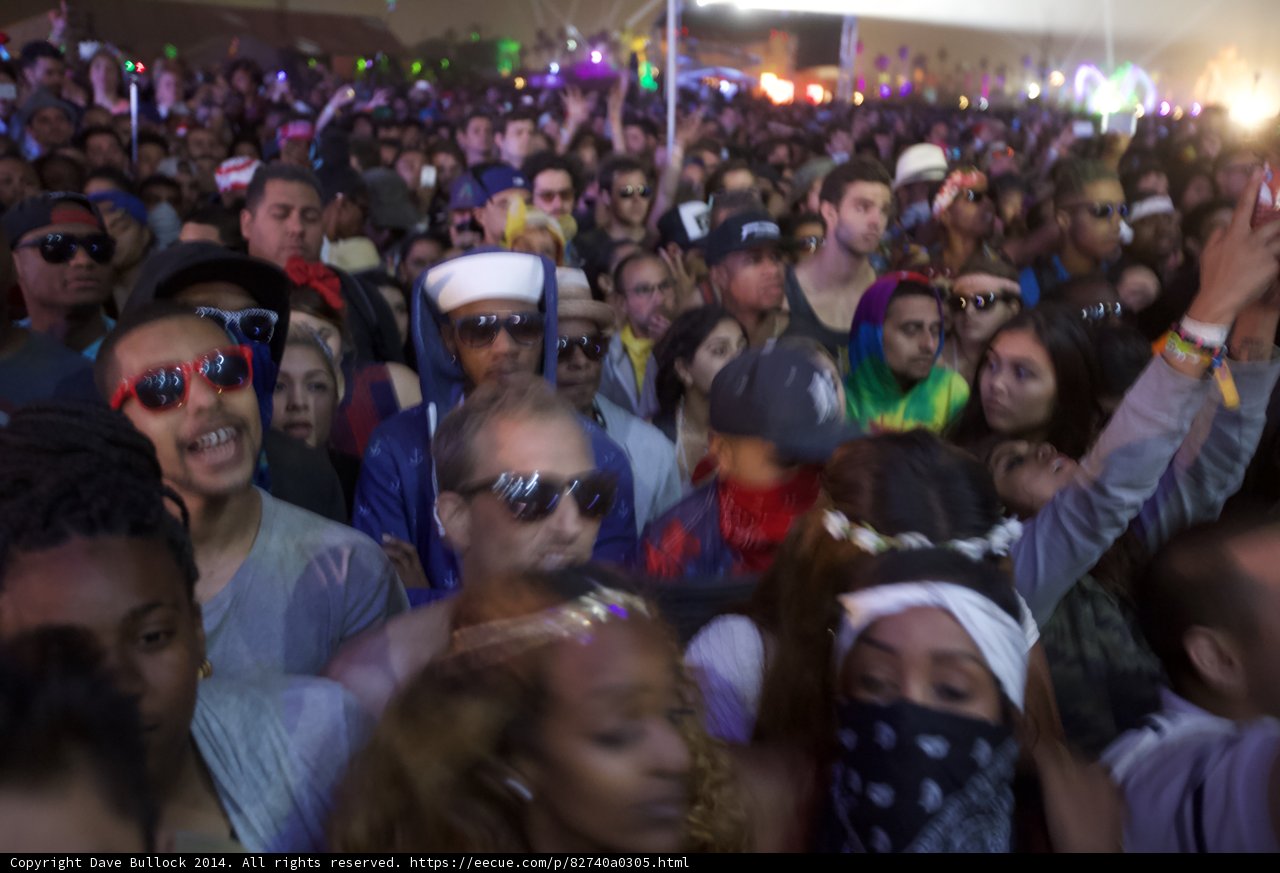 Music Festival Madness