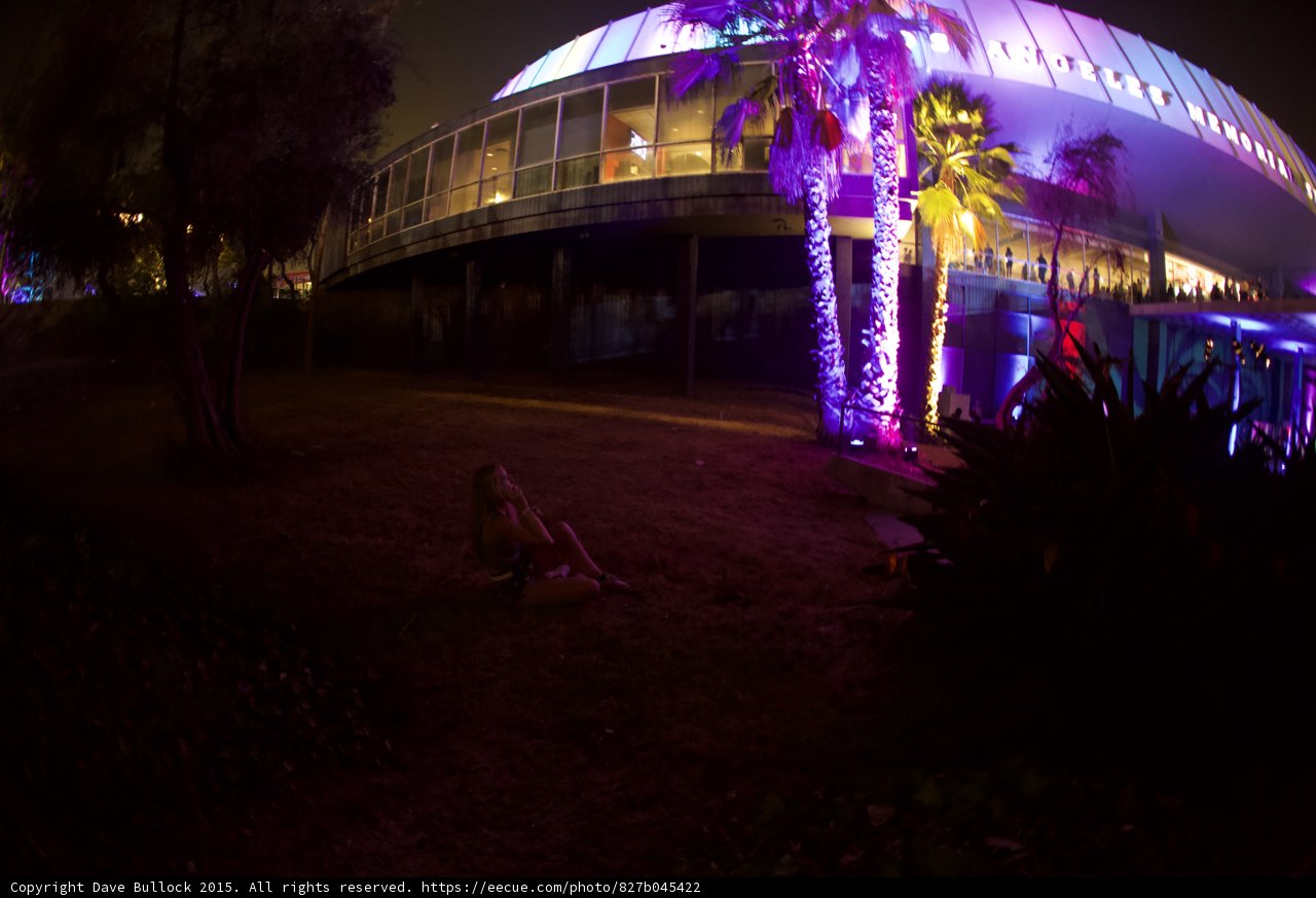 Arena Exterior Night