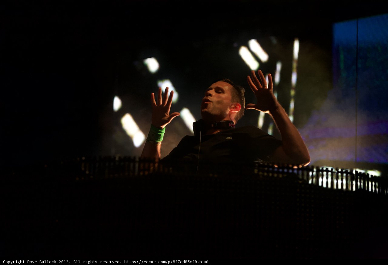 Crowd-Pleasing Deejay