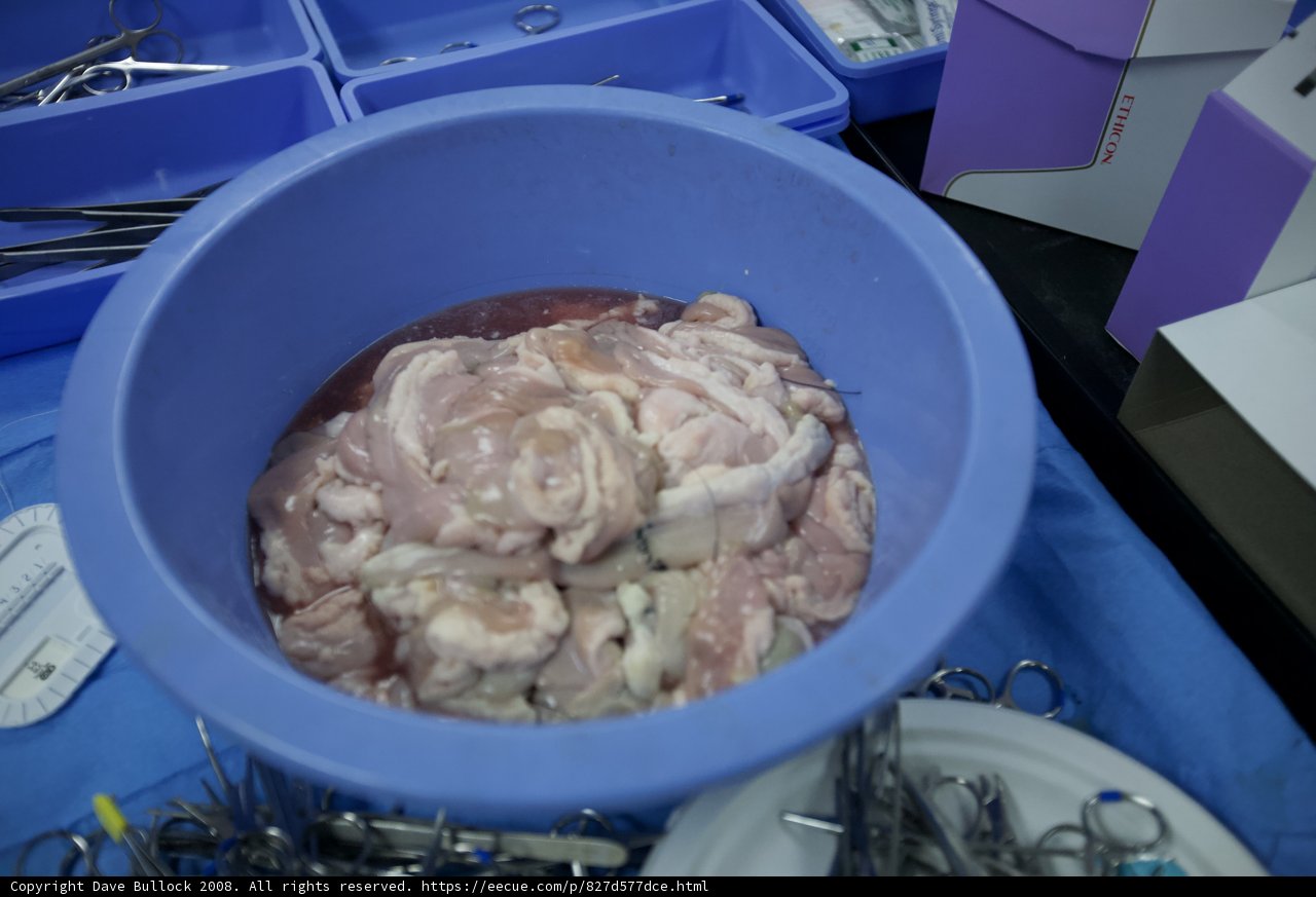 Meat Bowl in Blue Container