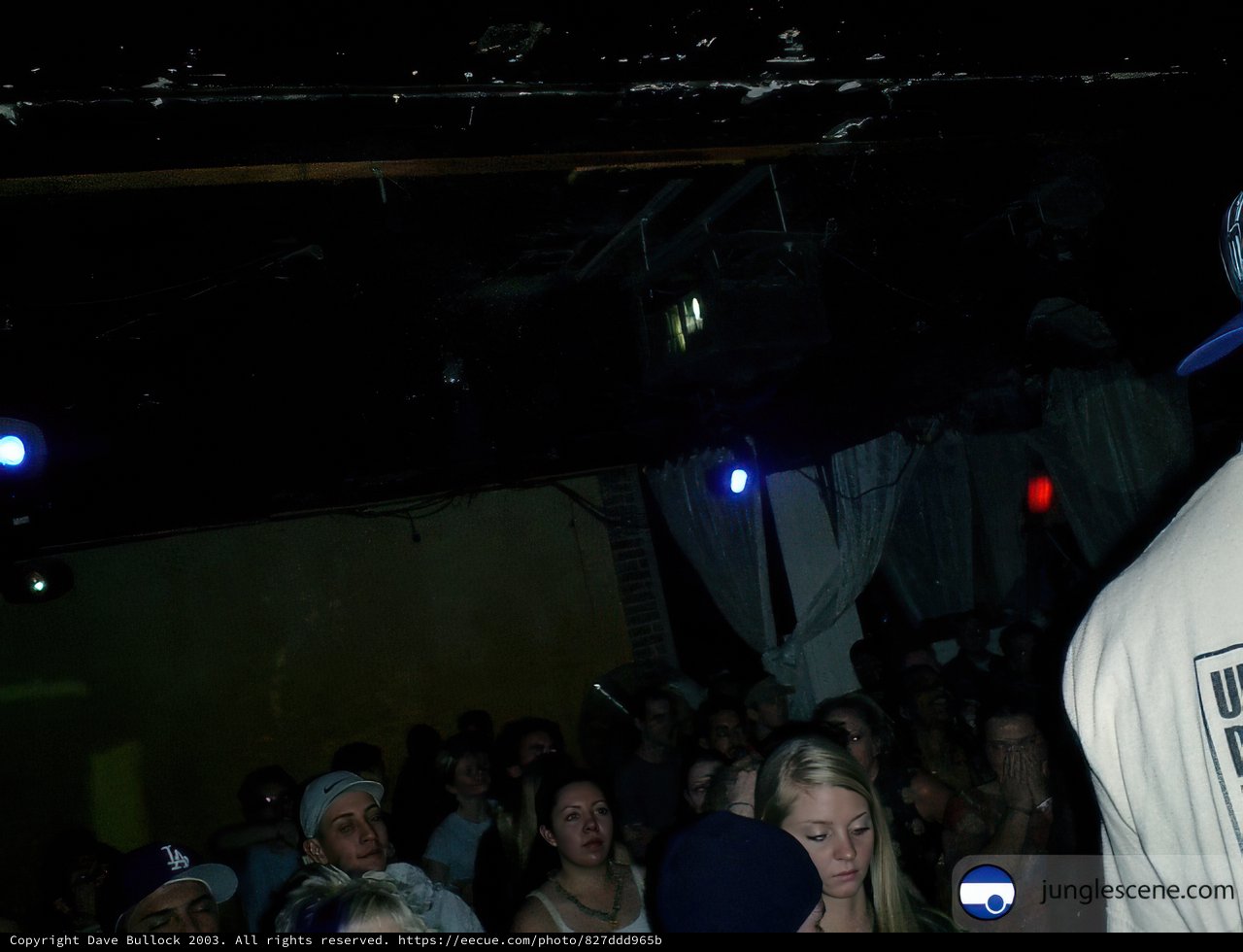 Spotlight on the Night Club Crowd