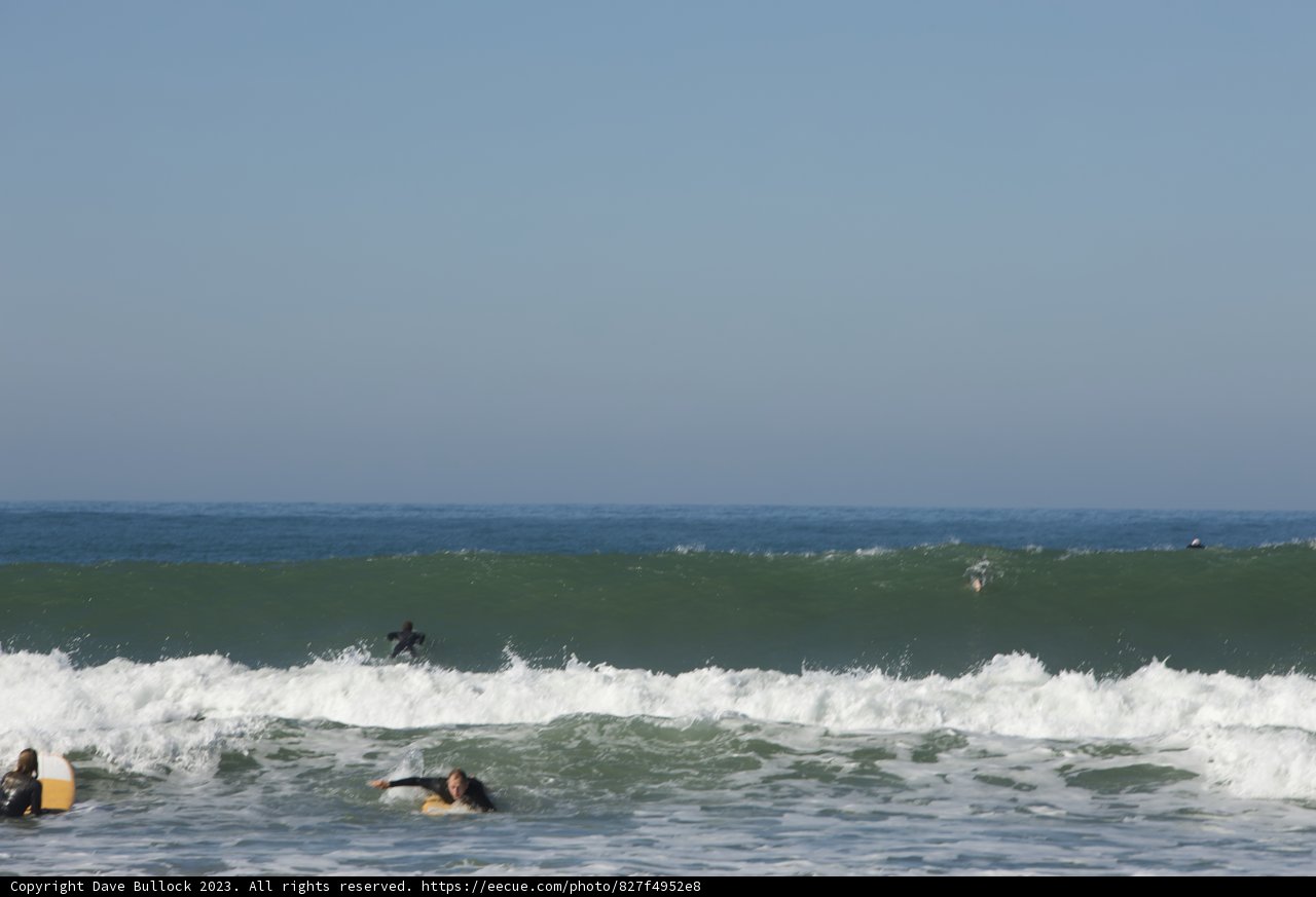 Catching Waves: An Ocean Adventure