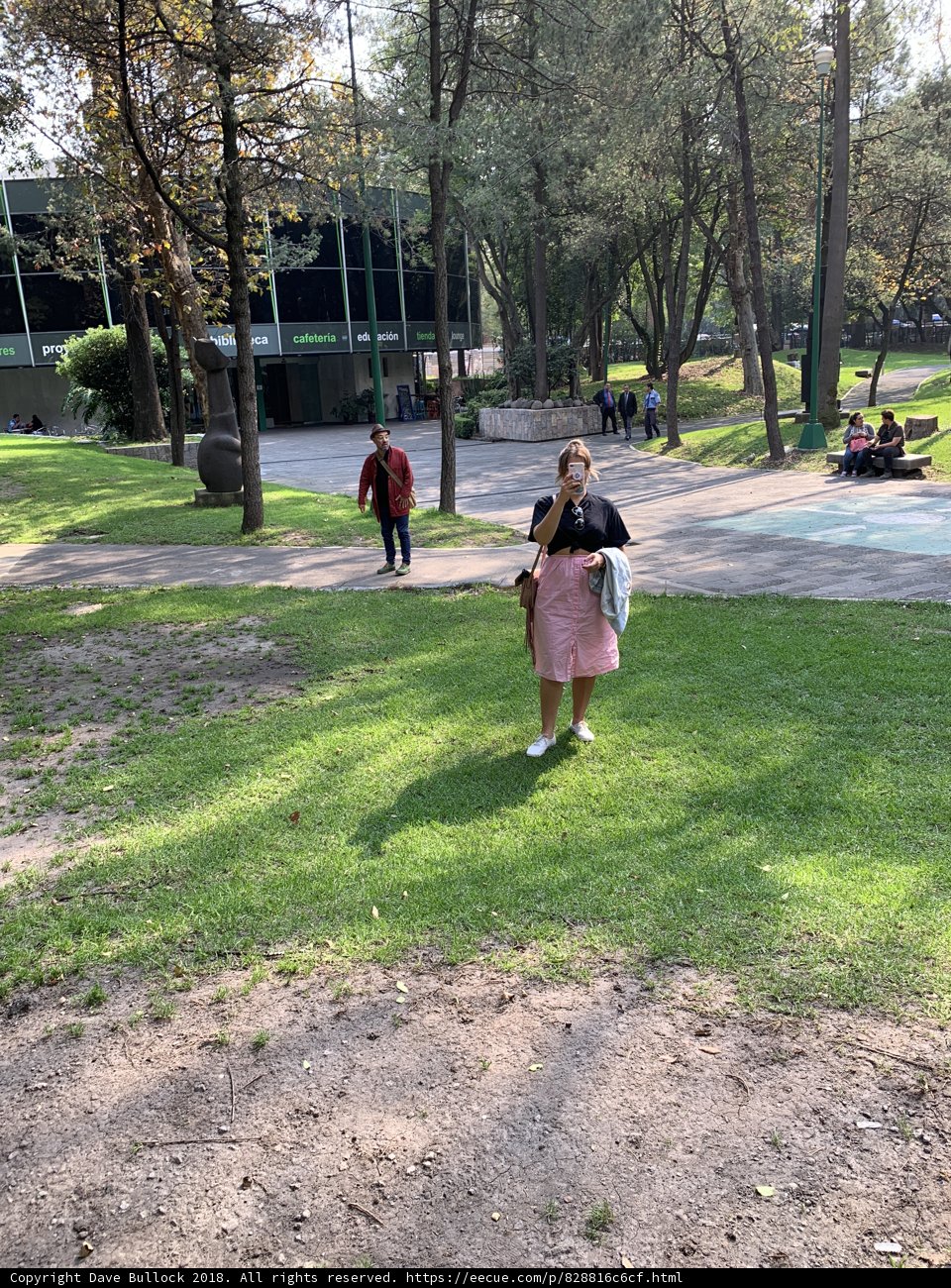 Frisbee Fun in the Park