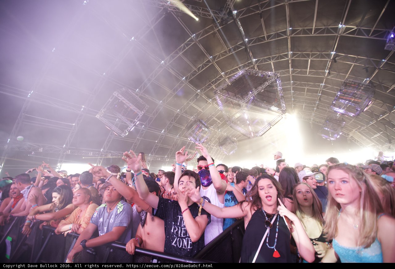 Coachella Music Festival's Energetic Crowd