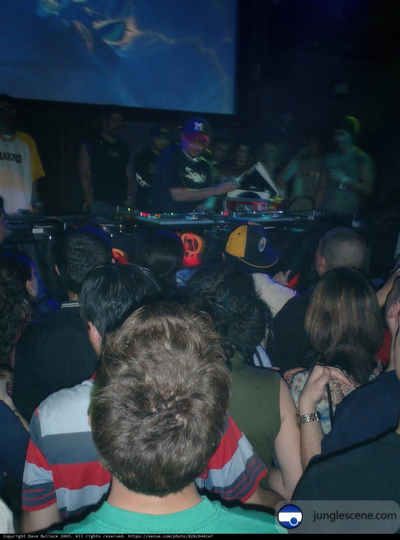 Nightclub Fever