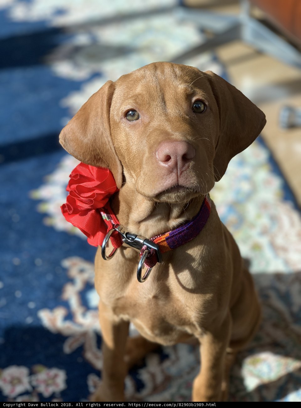 The Flowered Friend