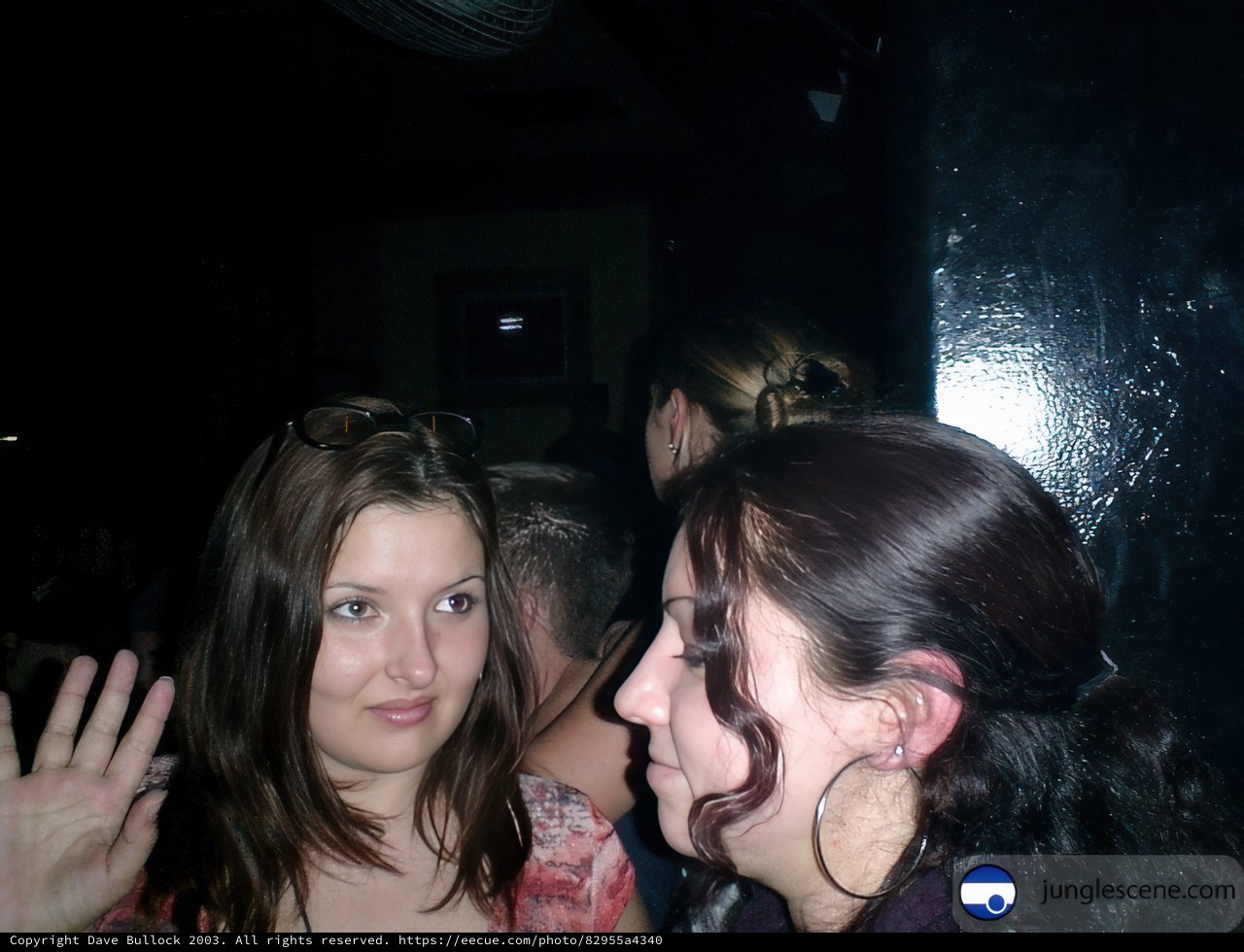 Party Posers