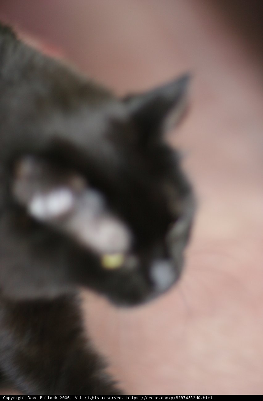 Fuzzy Phantom