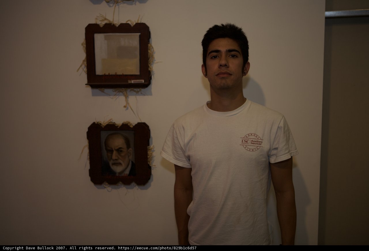 Contemplating Art with Sigmund Freud