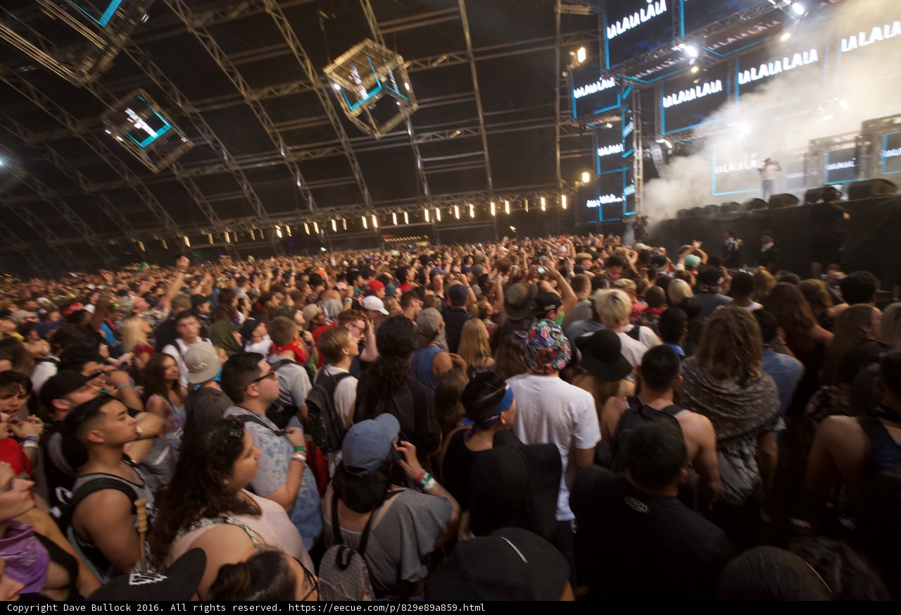 Dancing in a Sea of People at Coachella