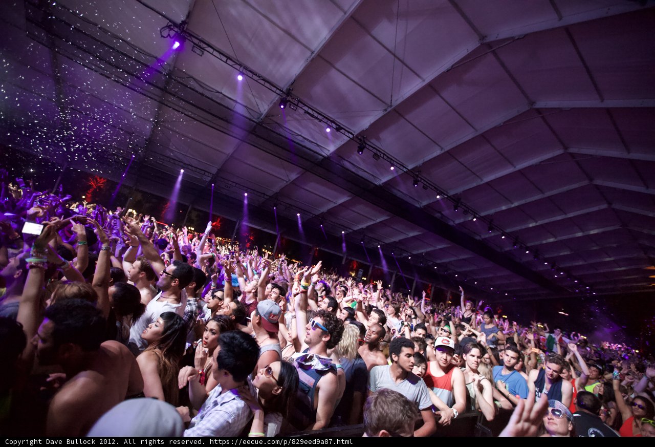 Coachella Crowd Goes Wild