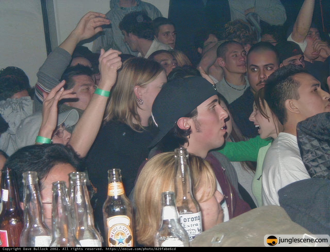 Partygoers at Nightclub