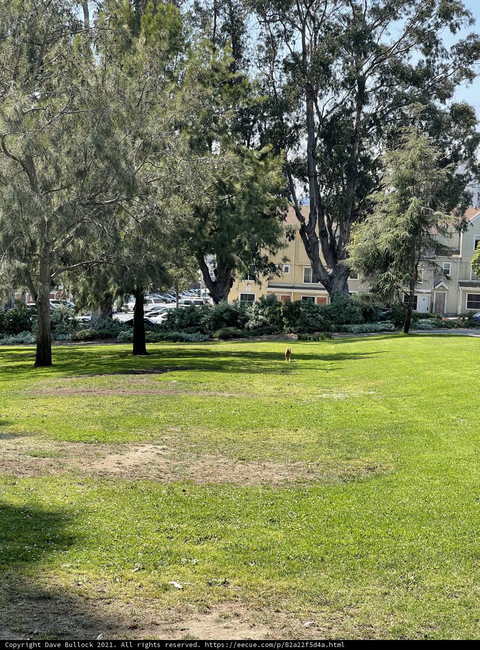 A Serene Day at Jefferson Square