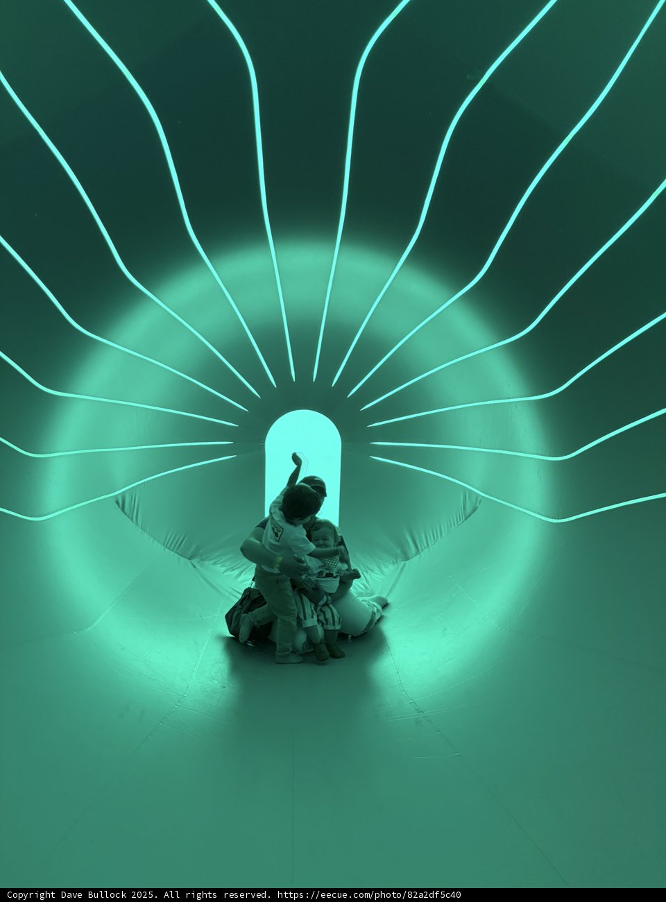 Enchanted Tunnel in Vallejo