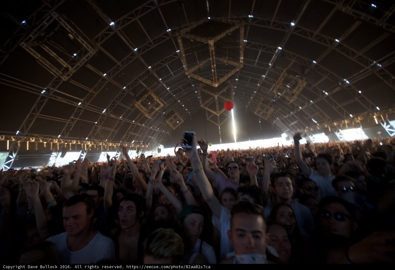 Lights, Music, and a Sea of Faces