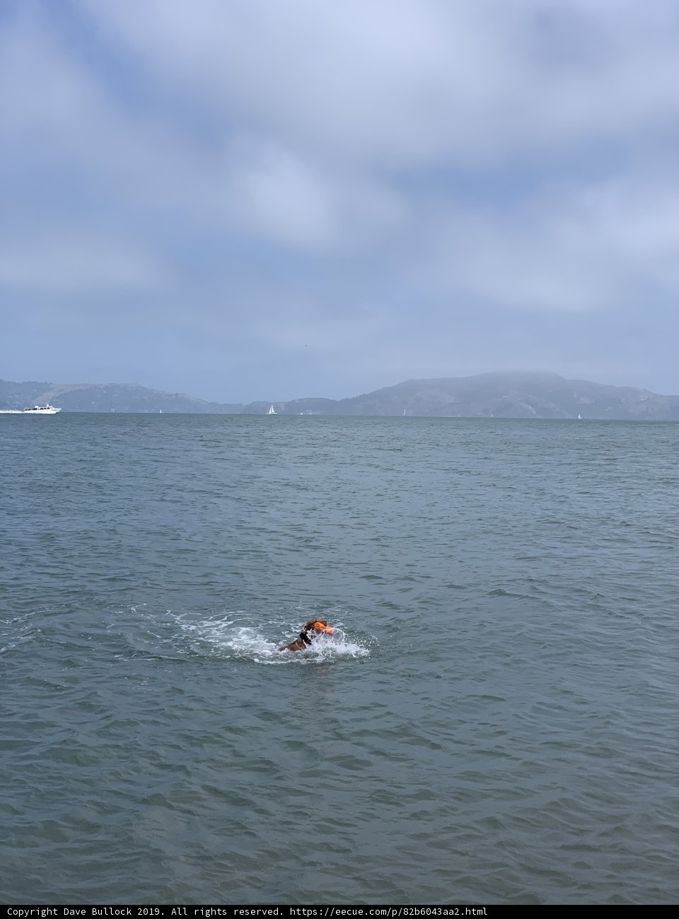 Splashing in the Pacific